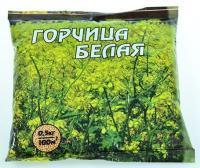 Здоровый сад сидерат Горчица белая Здоровый сад сидерат Горчица белая