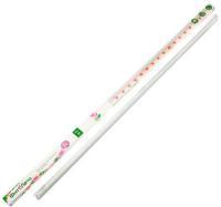 ФитоЛето Светильник светодиодный для растений IP40