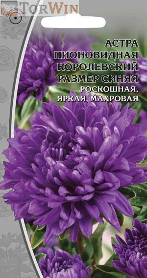 Ваше Хозяйство Астра пионовидная Королевский размер синяя 0,2 г Ваше Хозяйство Астра пионовидная Королевский размер синяя 0,2 г