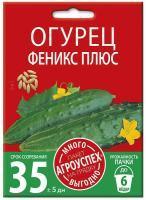 ogurets_feniks_plyus_semena_agrouspekh_mnogo_vygodno_3g