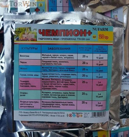 Чемпион