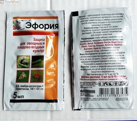 Эфория