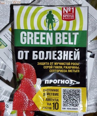 Грин Бэлт Прогноз Фунгицид для защиты и лечения растений
