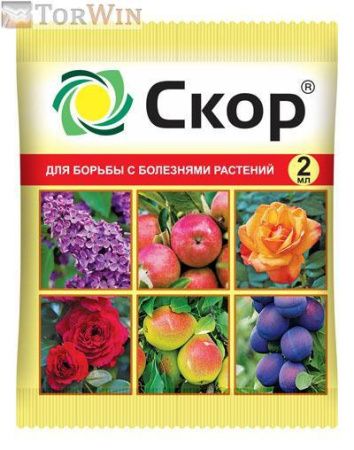 Ваше хозяйство Скор для борьбы с болезнями растений 10 мл