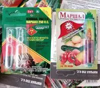 Маршл