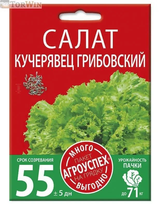 Салат Кучерявец Грибовский среднеспелый Много-Выгодно Салат Кучерявец Грибовский среднеспелый Много-Выгодно