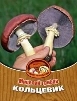 Семко Юниор Кольцевик мицелий грибов в субстрате 60 мл