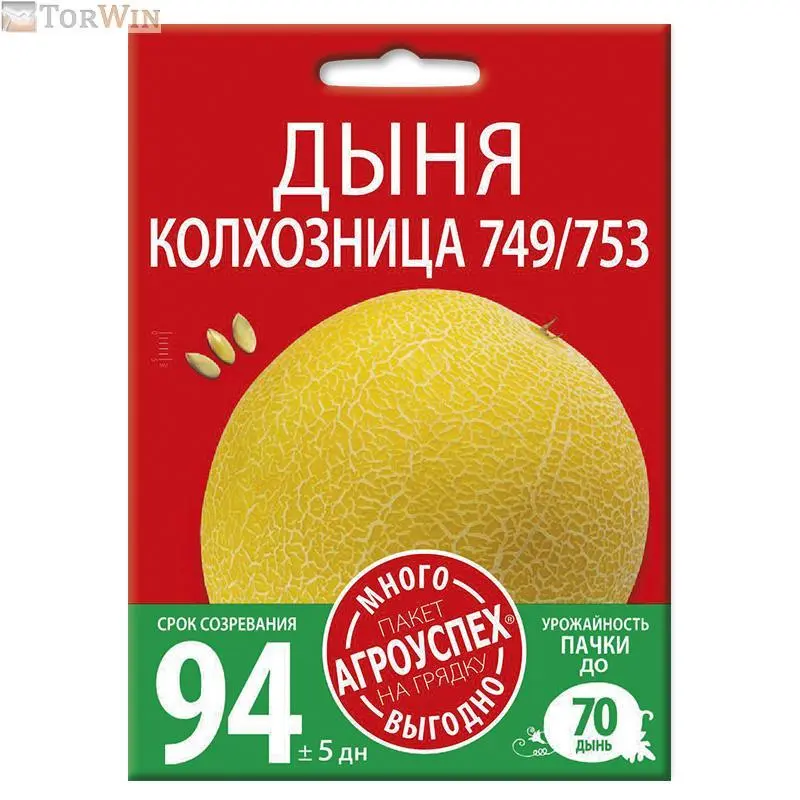 Дыня Колхозница Дыня Колхозница