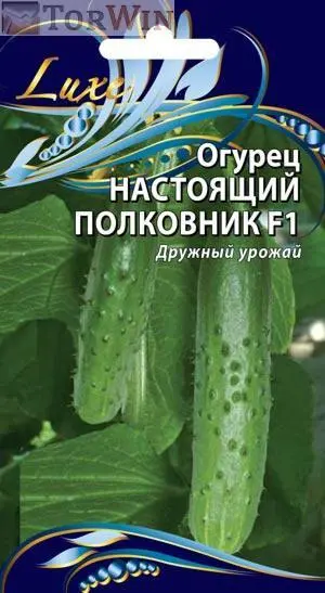 Ваше хозяйство Огурец Настоящий полковник F1 0,25 г Ваше хозяйство Огурец Настоящий полковник F1 0,25 г
