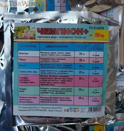 Чемпион