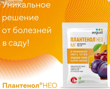 Плантенол® НеоСистемный препарат для обработки сада ранней весной.Защита от мониального ожога, парши, плодовой гнили и других болезней.Идеально подходит для обработки до цветения при низких положительных температурах.Обладает системными свойствами, ра