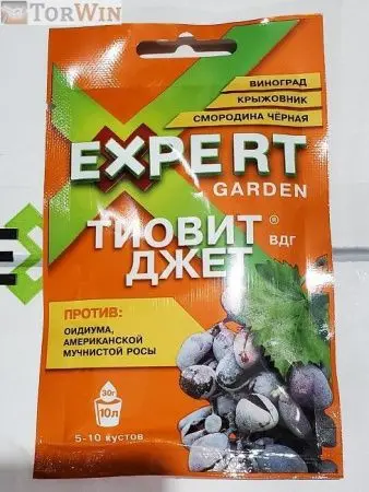 Тиовит Джет Expert Garden